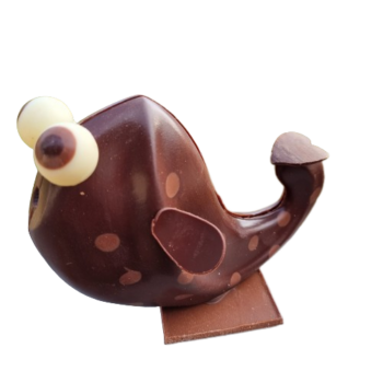 chocolaterie-chambery
