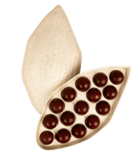 un coffret de chocolats artisanaux, aux notes d'agrumes, dans un emballage haut de gamme, emballage compostable